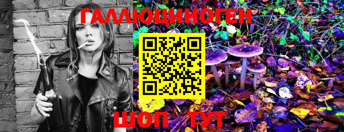 Псилоцибиновые грибы MAGIC MUSHROOMS Муром